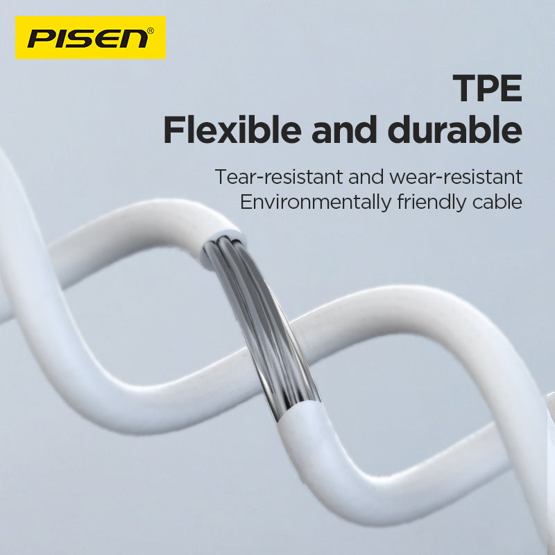 PISEN In-Ear Wired Earphones – Stereo Earbuds with Mic (AP03)