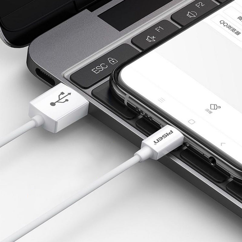 PISEN Mr White USB-A to USB-C Cable 1m – Charging & Sync Cable, White (TC25-1000)
