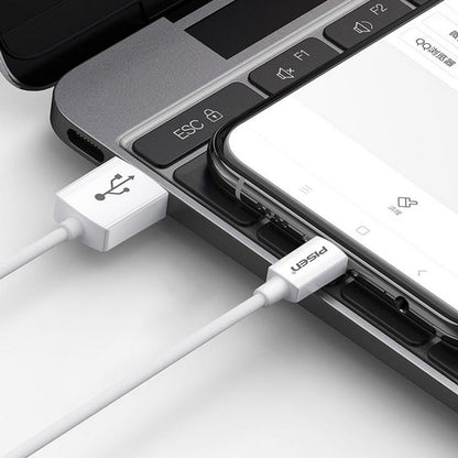 PISEN Mr White USB-A to USB-C Cable 1m – Charging & Sync Cable, White (TC25-1000)