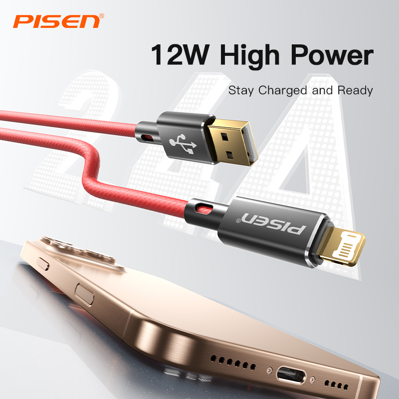 PISEN Platinum USB-A to Lightning Cable – 12W Fast-Charging iPhone Cable, Black (AL38-1000)